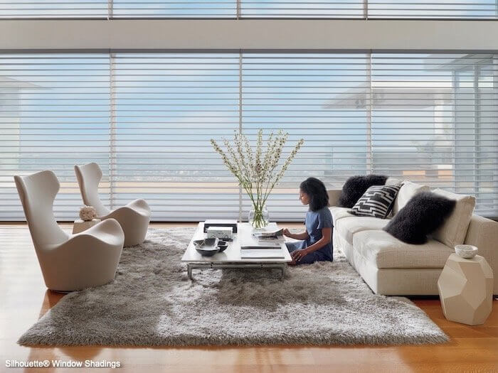 Silhouette Window Shadings - India Silk in Living Room