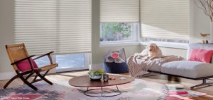 Sonnette Cellular Roller Shades - PowerView- Textura - Living Room