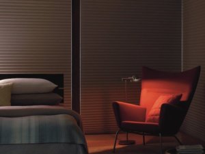 Duette PowerView - Alexa - Room Darkening Master Bedroom