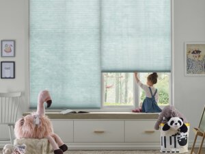 Child at window shades