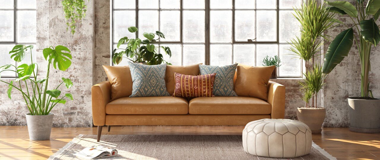 Houseplants with sofa